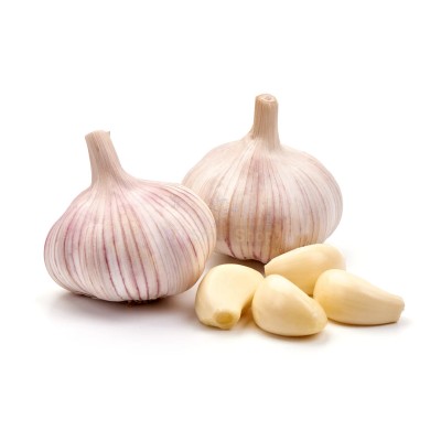 Чеснок крупный 1 кг - купить в Новоклейке