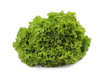 Салат романо 1 кг - купить в Новоклейке