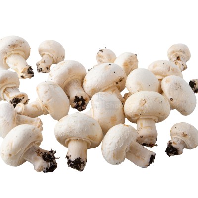 Шампиньоны свежие 500 г - купить в Новоклейке